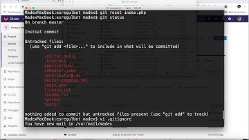 2. Создание репозитория, gitignore и первый коммит