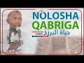 Nolosha Qabriga حياة البرزخ