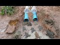 Making Deep Hole Bottle Frog Trap / AHA Factory