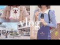 【vlog】愛犬と1泊2日で木更津アウトレット🚗購入品紹介♡トリーバーチ ,スワロフスキー ,SNIDEL🛍