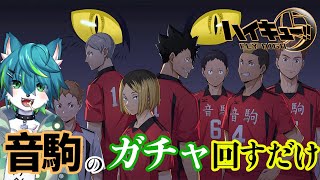 【ハイキュー!! fly high】音駒のガチャ (孤爪研磨) 回すだけ