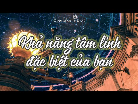 Video: Bạn Có Thể đi đâu Nếu Bạn Không Có SỬ DỤNG