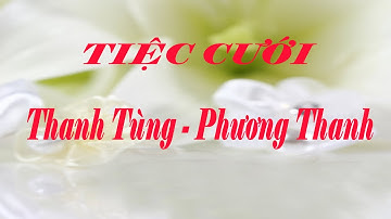TIỆC CƯỚI THANH TÙNG - PHƯƠNGTHANH