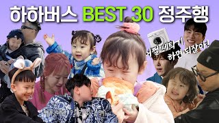 (Sub) (20분)도합 𝟯𝟴𝟬𝟬만뷰✨레전드 쇼츠 BEST 30 몰아보기 [하하버스 모음집]