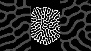 #Genuary, day 26: Grow a seed  #generativeart #processing #processing4 #p5js #creativecoding