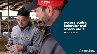 Famous GENEX HerdMonitor™-Herd Eating Patterns Profile