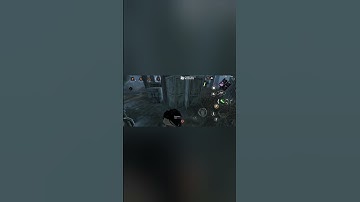 Крыски DBD #dbd #dbdmobilefun #dbdmobile #dbdsurvivor #deadbydaylightsurvivor #dbdshorts #dbdkiller