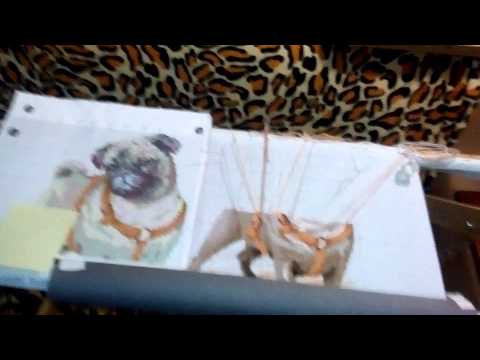 Копия видео Отчет по процессу Мопс от фирмы Риолис 1176