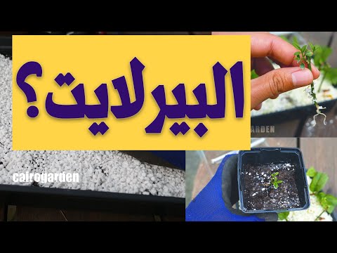 ما هو البيرلايت؟ و ليه زرعك محتاجه؟ مزاياه و عيوبه؟ تعالى اقولك