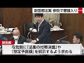 副首都法案が参院特別委で審議入り　野党側は批判強める