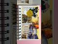 My mini spread #scrapbooking #journaling