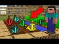 Minecraft NOOB vs PRO: HOW NOOB GROWN POWERFUL SWORDS IN FARMLAND? Challenge 100% trolling