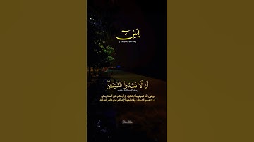 سورة يس - القارئ يوسف الصقير الاية {60-64} #قرآن #القرآن_الكريم #quran #يوسف_الصقير #تلاوة_خاشعة #لك