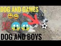 DOG AND BOYS|DOGS MATING|DOG AND GIRL|DOG IS PLAYING WITH BOYS|