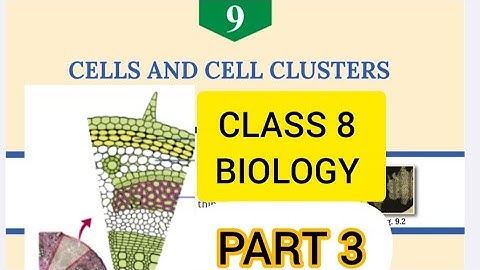 CLASS 8 BIOLOGY CELLS AND CELL CLUSTERS CHAPTER 9//PART 3