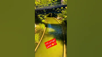 دعاء التوكل على الله Explore Qoran Et Nature صلي علي النبي 