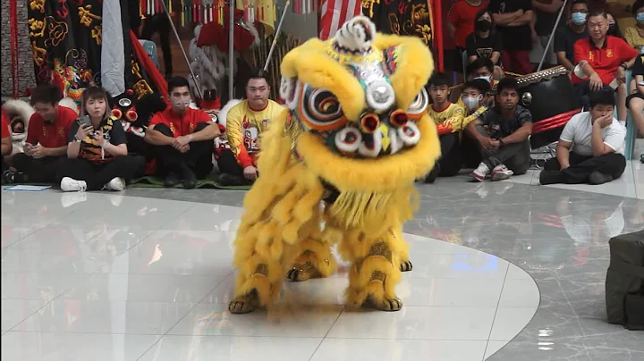 JOHOR KELAPA SAWIT WEN CHING DRAGON &   LION DANCE...