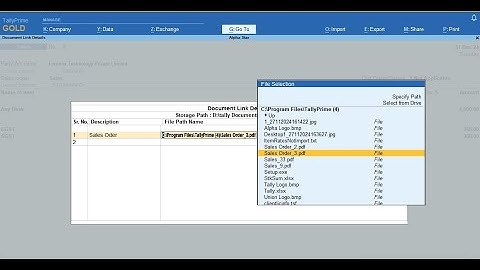 Tally Add On :  Document Mangement System in TallyPrime software.