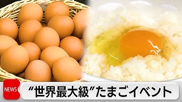 日本の「ブランド卵」を食べ比べ　“卵好き”のための「卵フェス」開催
