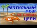 Достижение Личной Цели. При Чем Тут Рептильный Мозг?