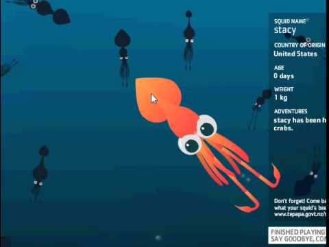 COLOSSAL SQUID - YouTube