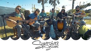 TreeHouse! - Babylon Pressure (Live Acoustic) | Sugarshack Sessions chords