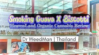 Smoking Guava X Biscotti #HeavenLand #marijuana  #cannabis #weed #drweedman #thailand #guavabiscotti