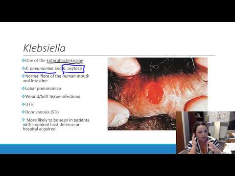 Video: Klebsiella In Infants (pneumonia) In Feces: Symptoms, Treatment Komarovsky's Opinion