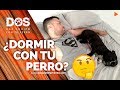 ¿Es malo DORMIR con el PERRO en la CAMA? 💤🐺👨🏻💤