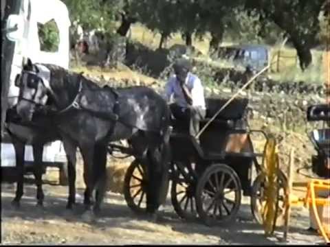 Portalegre - Festas Da Cidade - 1991