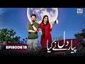 Pyar Dil Ne Kiya | Episode 19 | 24 April 2026 | Noman Habib &amp; Arsala Siddique | Set Entertainment