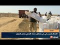 الأمطار تتسبب في في تعطيل حصاد الأرز في بعض المرازع