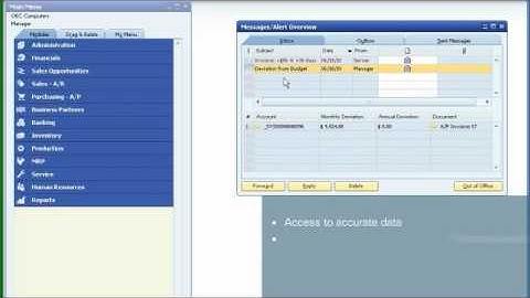 SAP Business One Financials and Accounting Demo Video