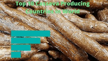 Top 10 Cassava Producing Countries in World | Racing Bar Graph