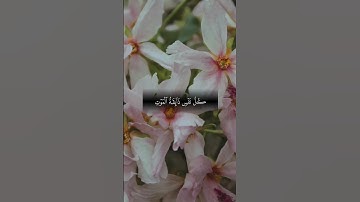 تلاوة عطرة من القرآن الكريم بصوت الشيخ ماهر المعيقلي#القرآن #ماهر_المعيقلي #تلاوة #قرآن_كريم