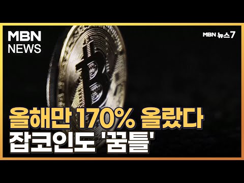   비트코인 올해만 170 올랐다 잡코인도 꿈틀 투자 주의 MBN 뉴스7