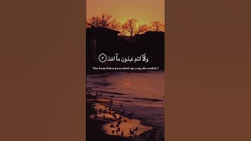 سورة الكافرون بصوت المنشاوي