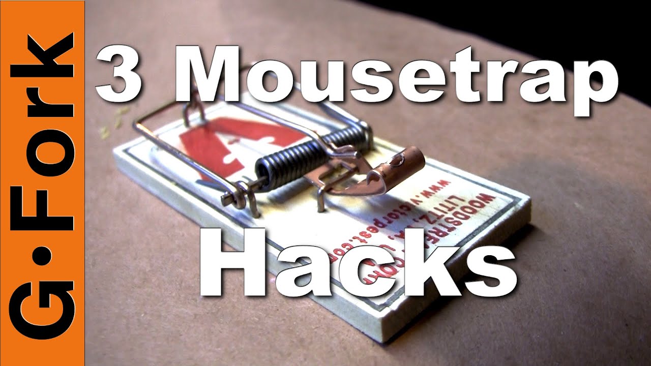 Firm vs. Sensitive: Best Tips for Mouse Traps