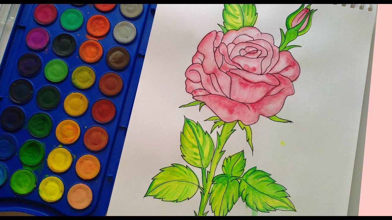 Rose watercolour paintingRose drawing Rose Art step by step tutorial Easy drawing of