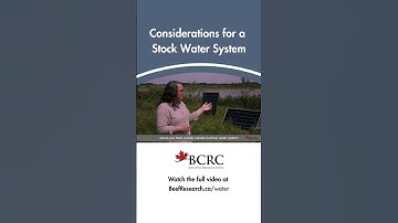 Considerations for a stock water system #beefcattle