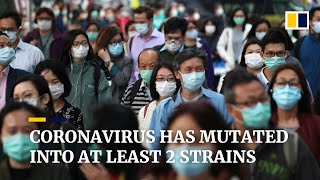Chinese scientists identify two major types of the new coronavirus in preliminary study
