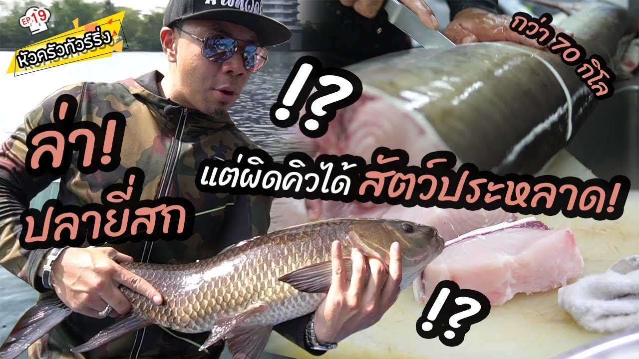 ผิดคิว? ล่าปลายี่สก แต่ดันได้ปลาอะไรกลับมา?  [หัวครัวทัวร์ริ่ง] EP.19