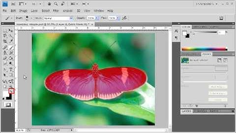 3.6 Using the Quick Mask to Mask Simple Objects: Adobe Photoshop CS4 Video