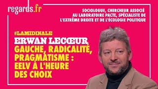 Gauche, radicalité, pragmatisme : EELV à l'heure des choix