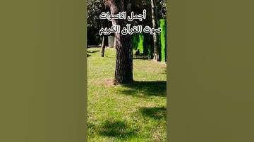 قران كريم😍🤲 بصوت جميل للشيخ ياسر الدوسري #اكسبلور #اهميه #المصحف #راحة_نفسية #الرحمن
