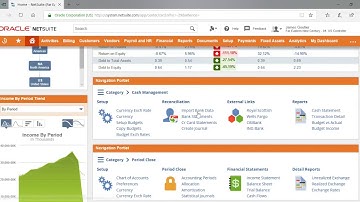 NetSuite Dashboard Overview Demo