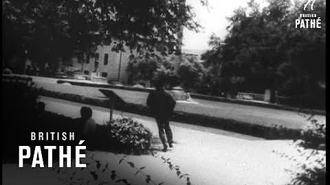 Mad Sniper Kills 14 (1966)