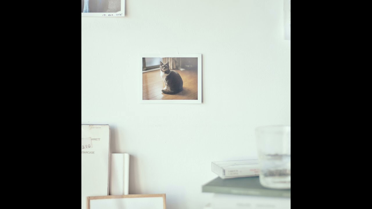 odol - 曇り空 / kumorizora (Official Audio)