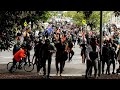 Melbourne protesters are 'ordinary Victorians who have had enough': Credlin