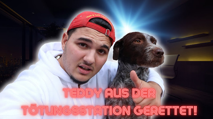 Mein neuer PFLEGEHUND aus der Tötungsstation 😢💔